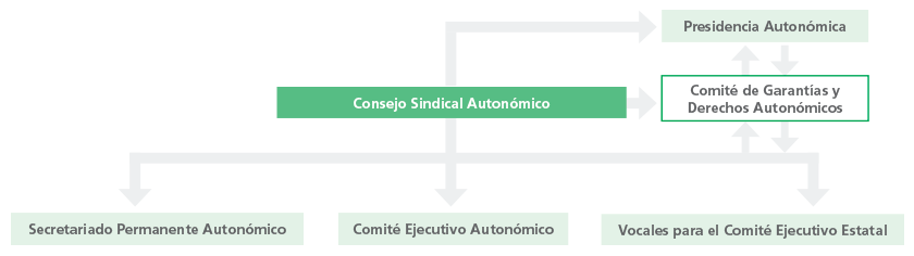 Estructura Autonómica ANPE Navarra