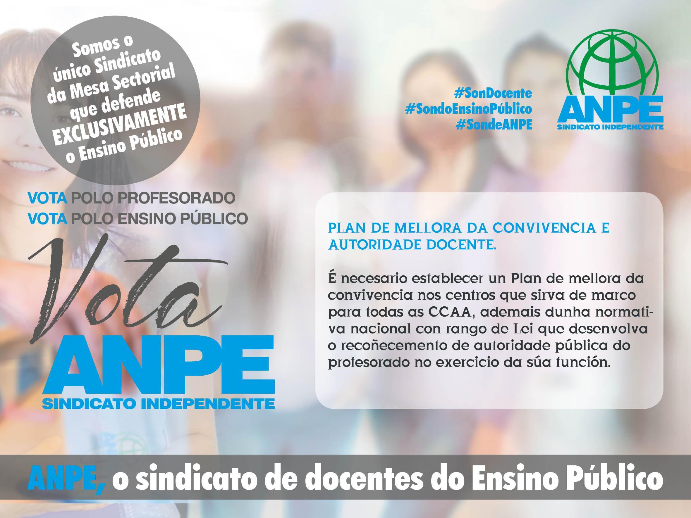 anpe-eleccio-ns-sindicais--2018-11