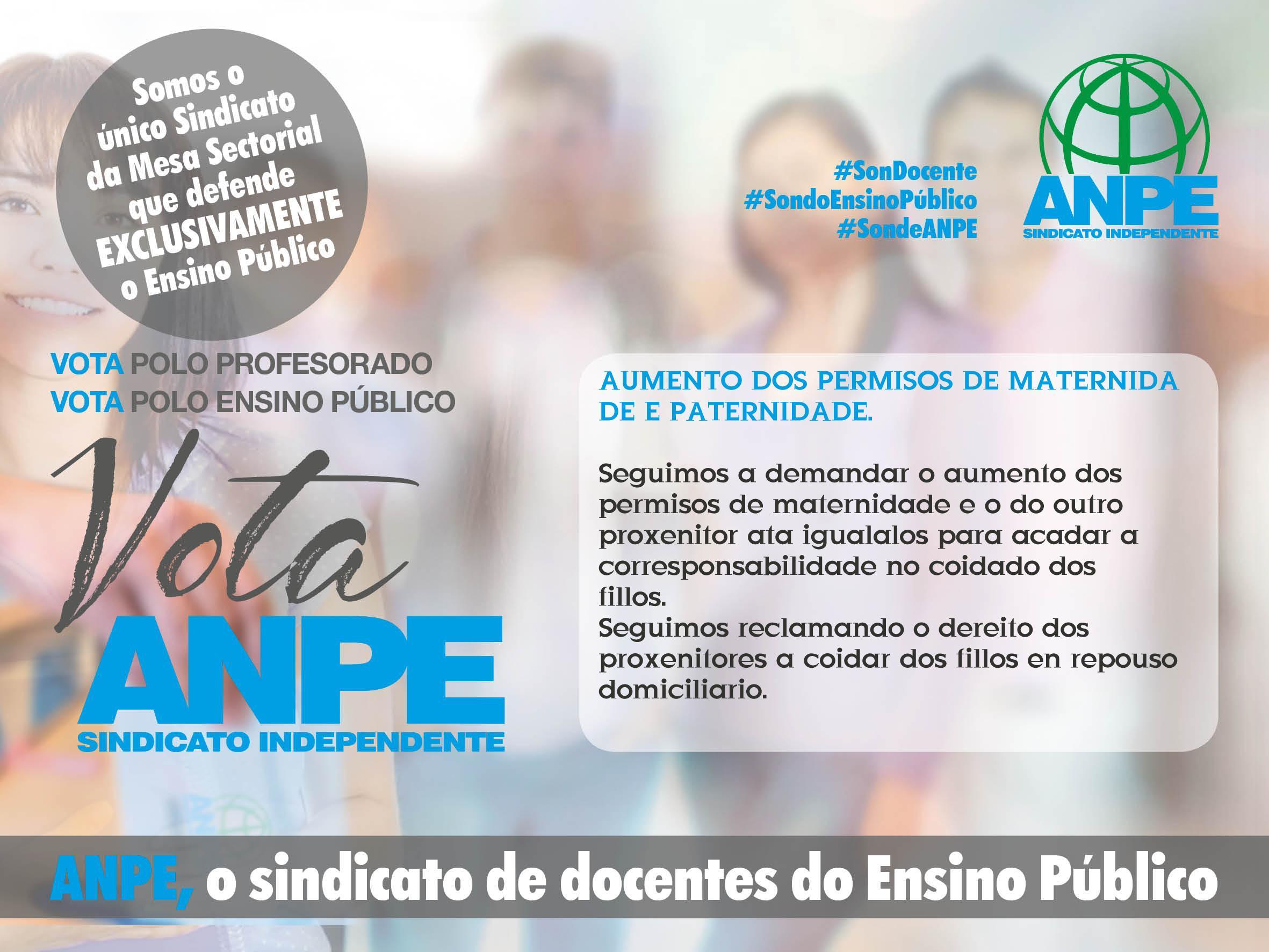 anpe-eleccio-ns-sindicais--2018-5