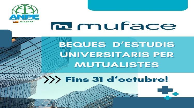 beques-universitaris--1-