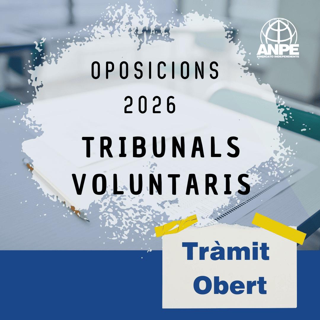 whatsapp-image-2026-02-16-at-10.25.42--1-