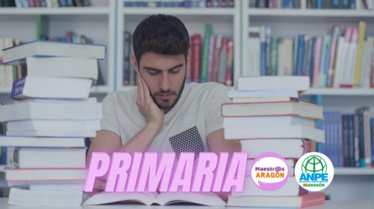 primaria-web