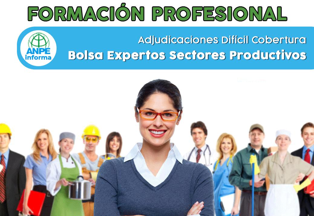 fp_bolsa_expertos_sectores_productivos_adj_dificil