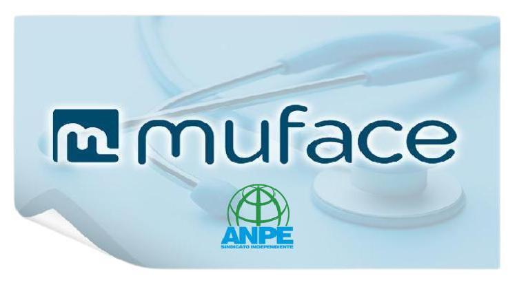 muface3