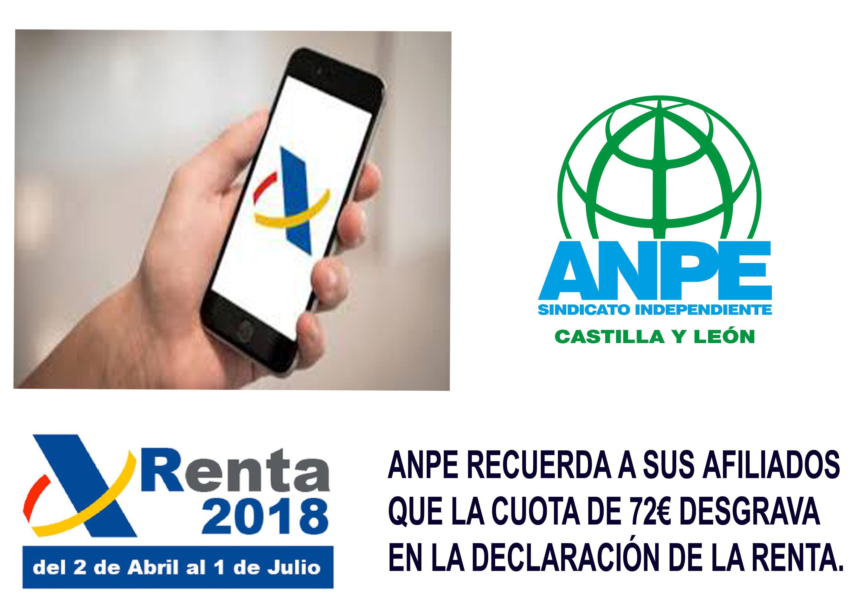 declaracion-de-la-renta-anpe--002-