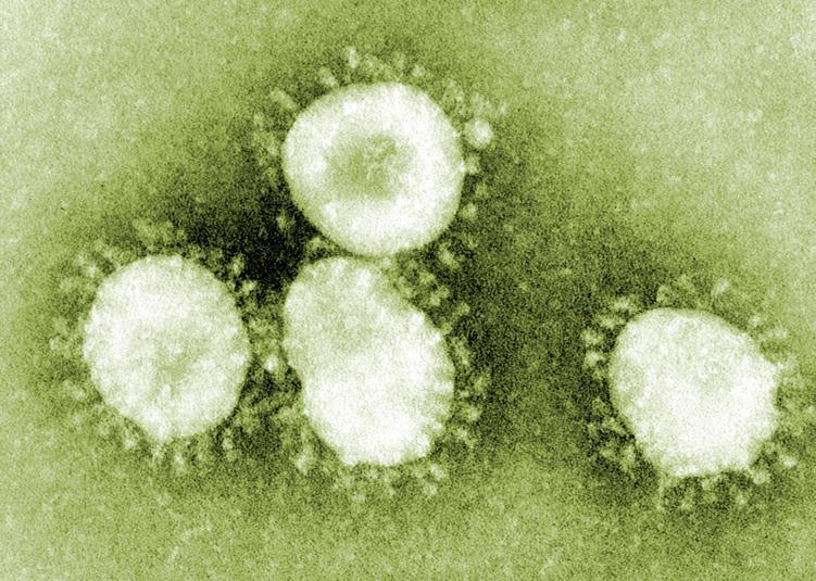 coronavirus.jpg_2024538393